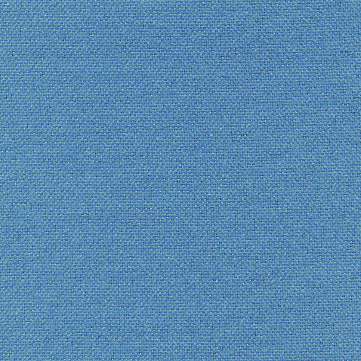 358 | Nemi L