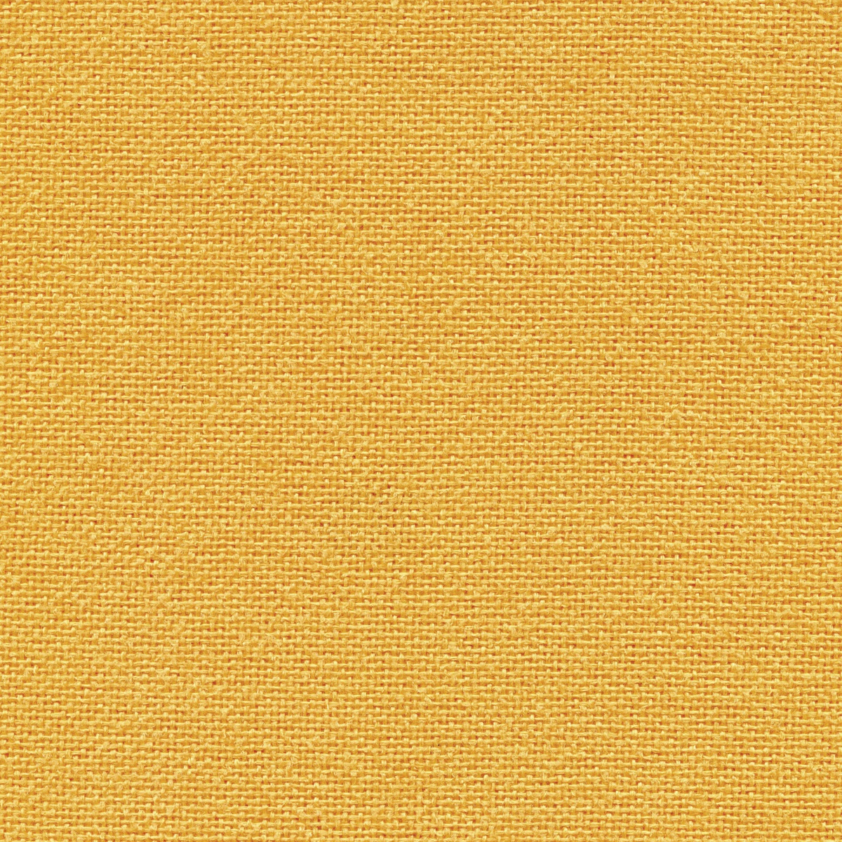 51 | Nemi L