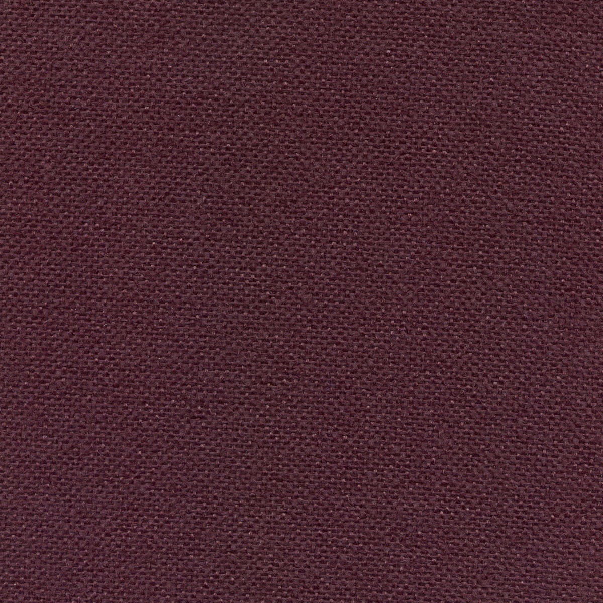 970 | Nemi L