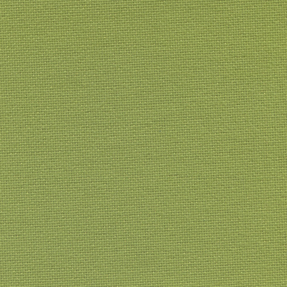 471 | Nemi L