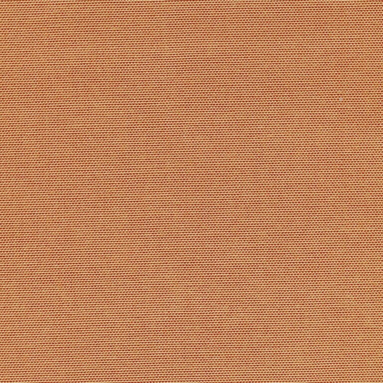 2554