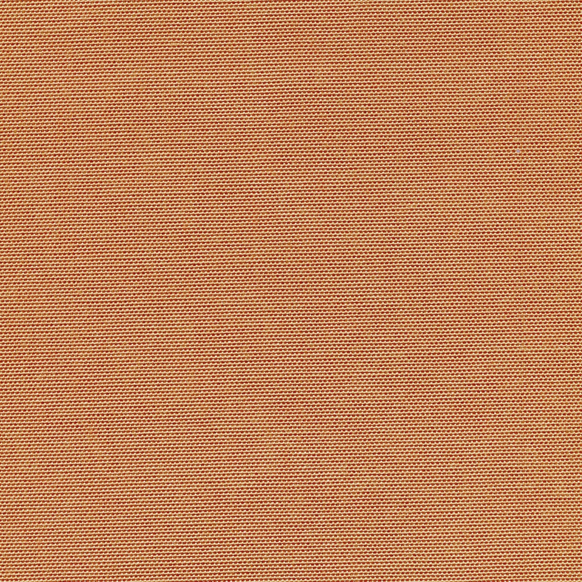 2554 | Ombra Bioactive