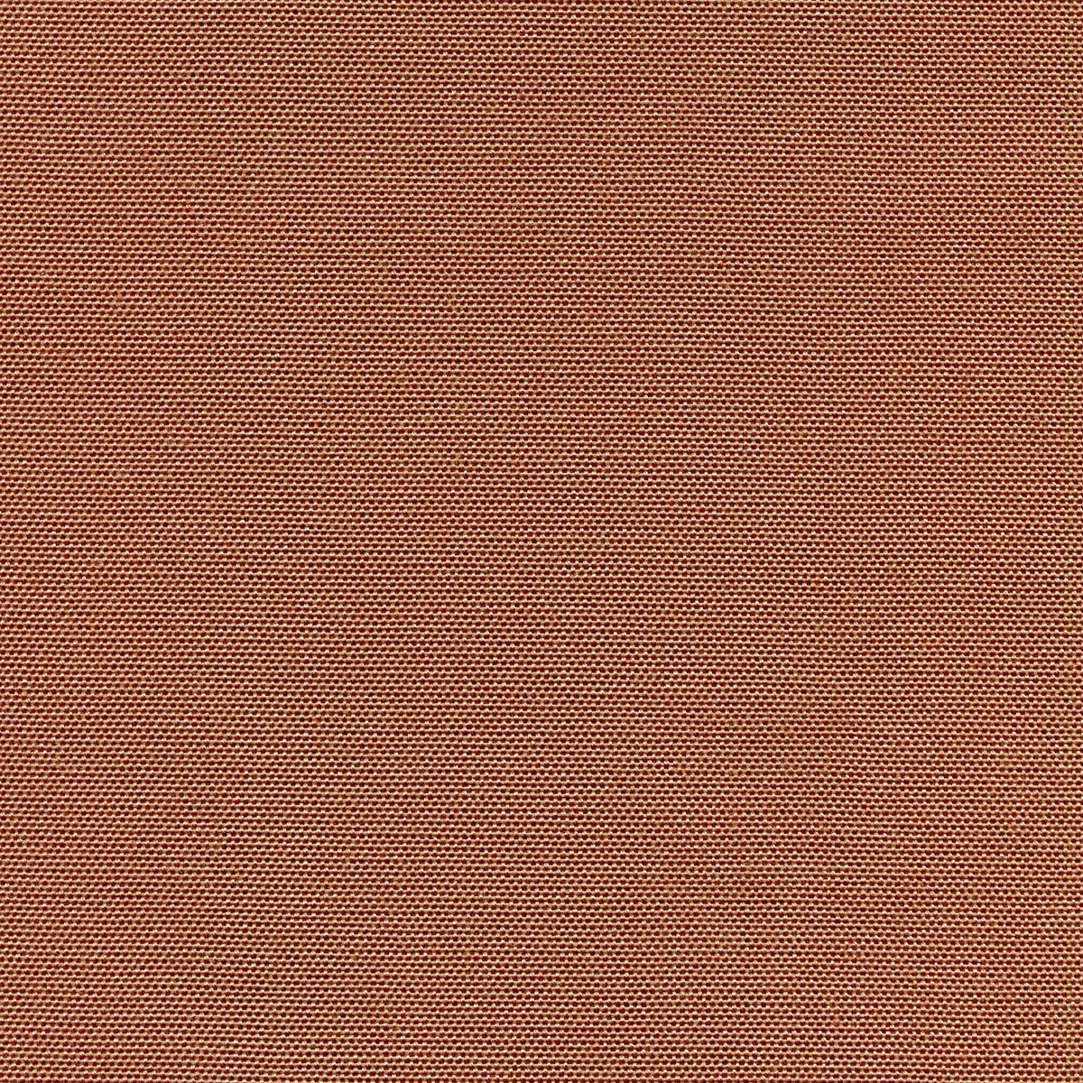 2555 | Ombra Bioactive