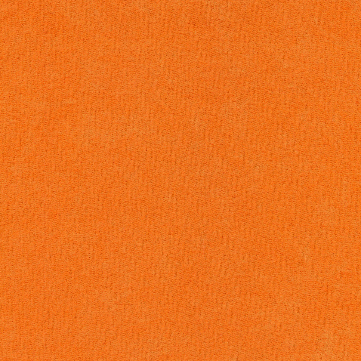 101