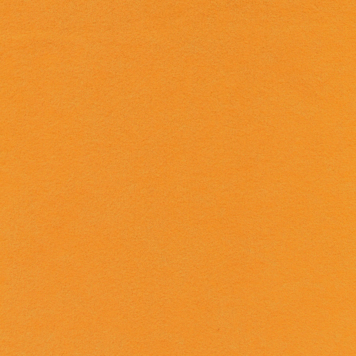53 | Pegasus