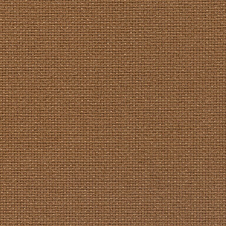 4561