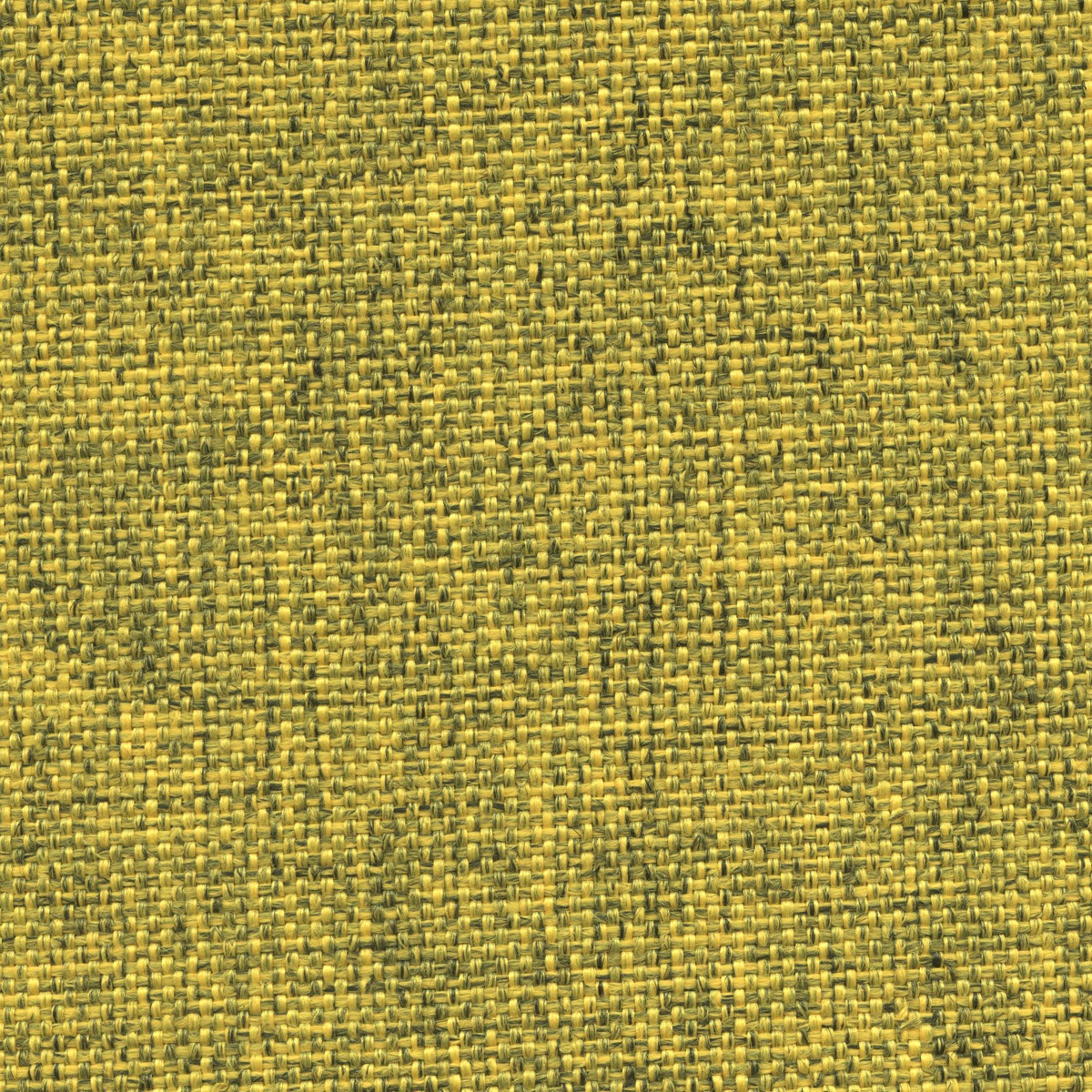 3053