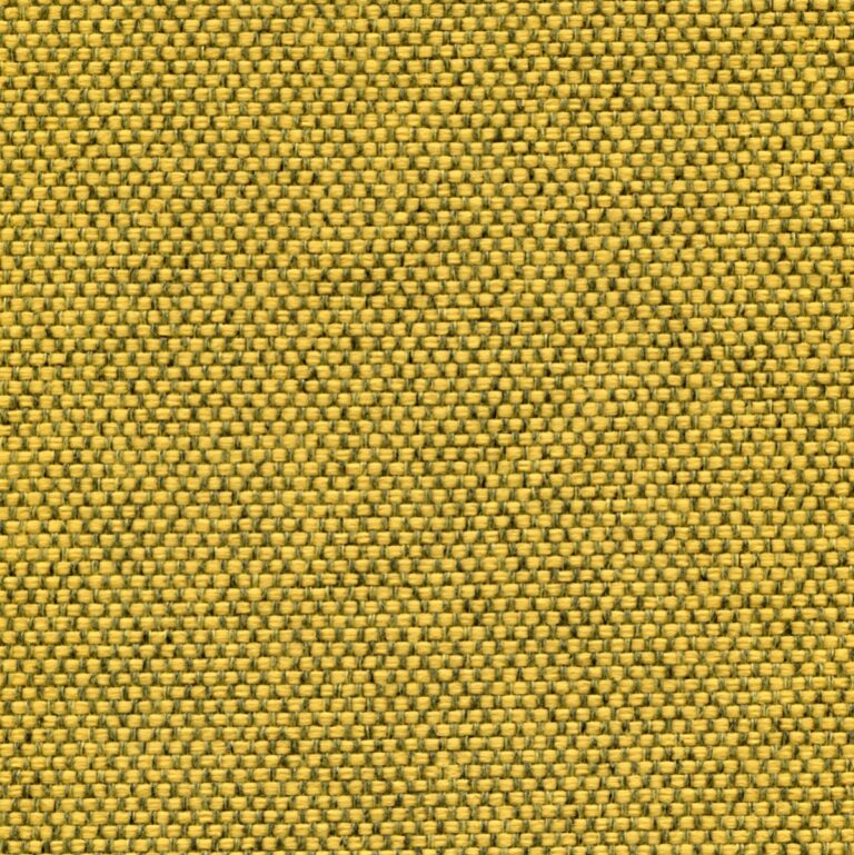 25051