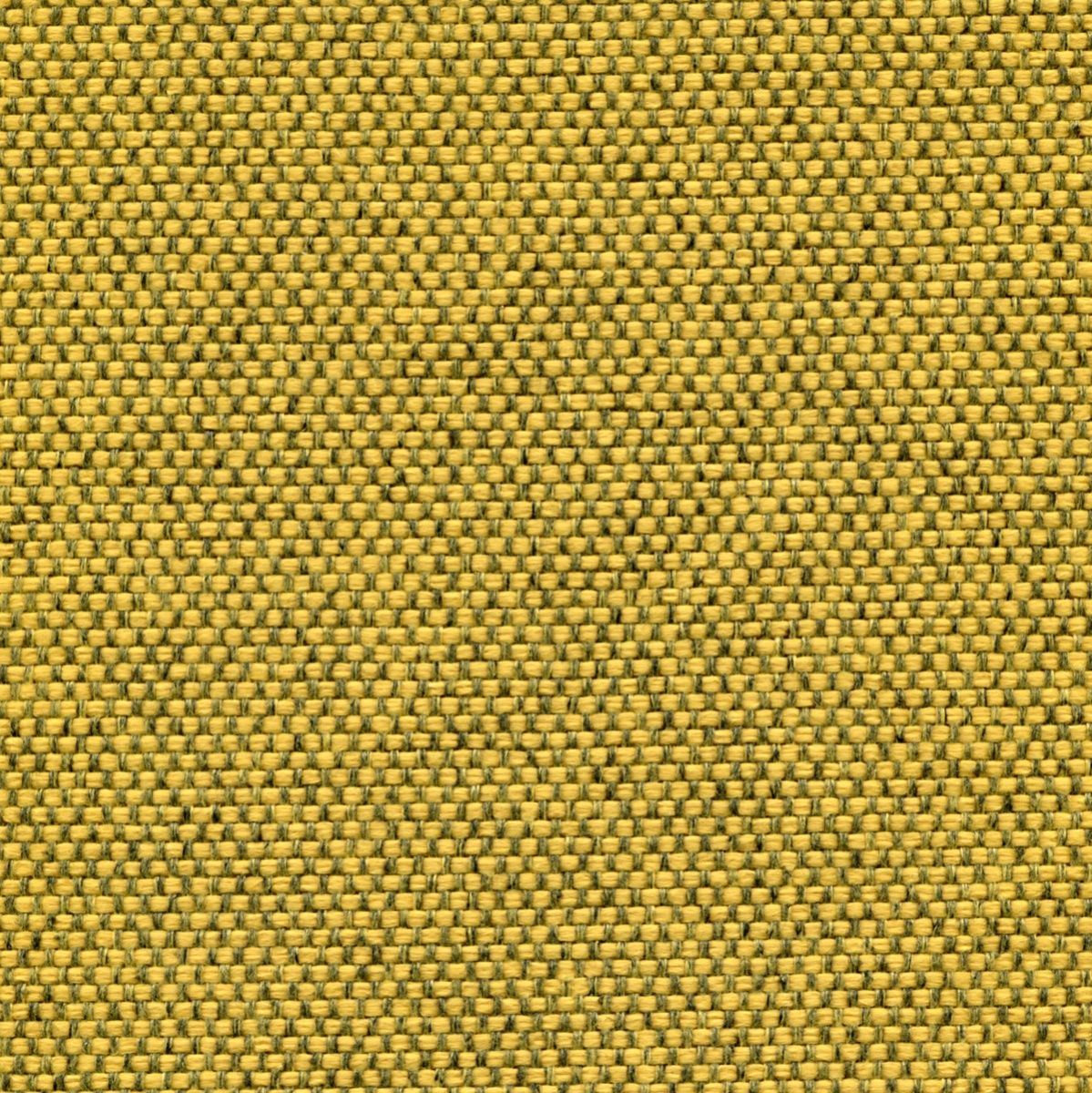25051