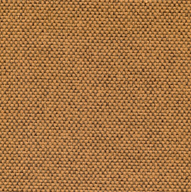25101