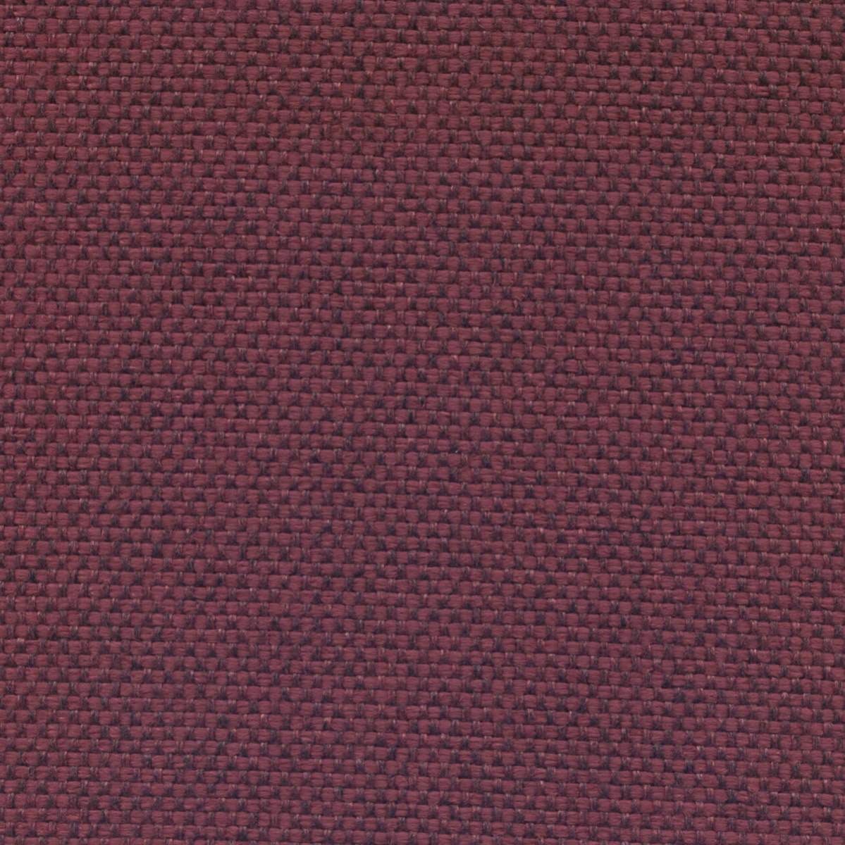 25251