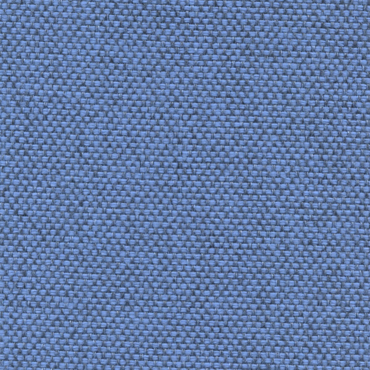 25353