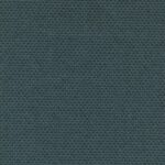 25401 | Trevi D