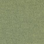 25451 | Trevi D