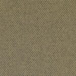 25551 | Trevi D