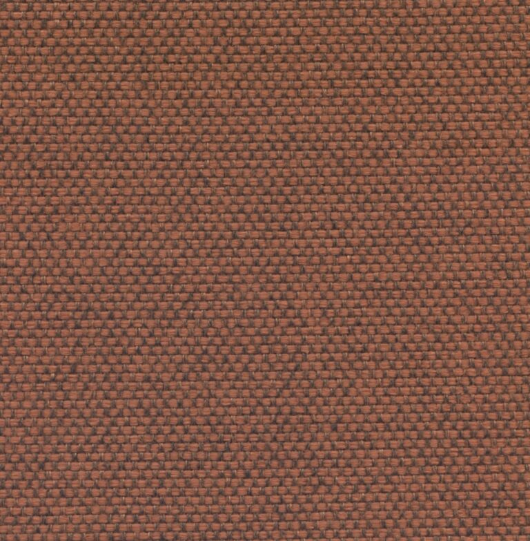 25553