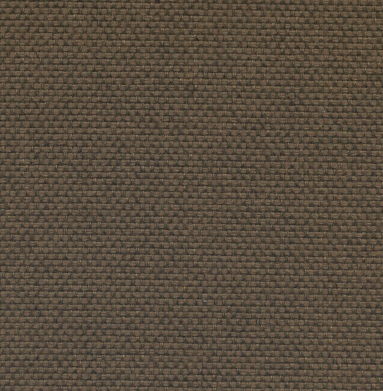 25554