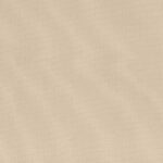 005 | Summer Plain