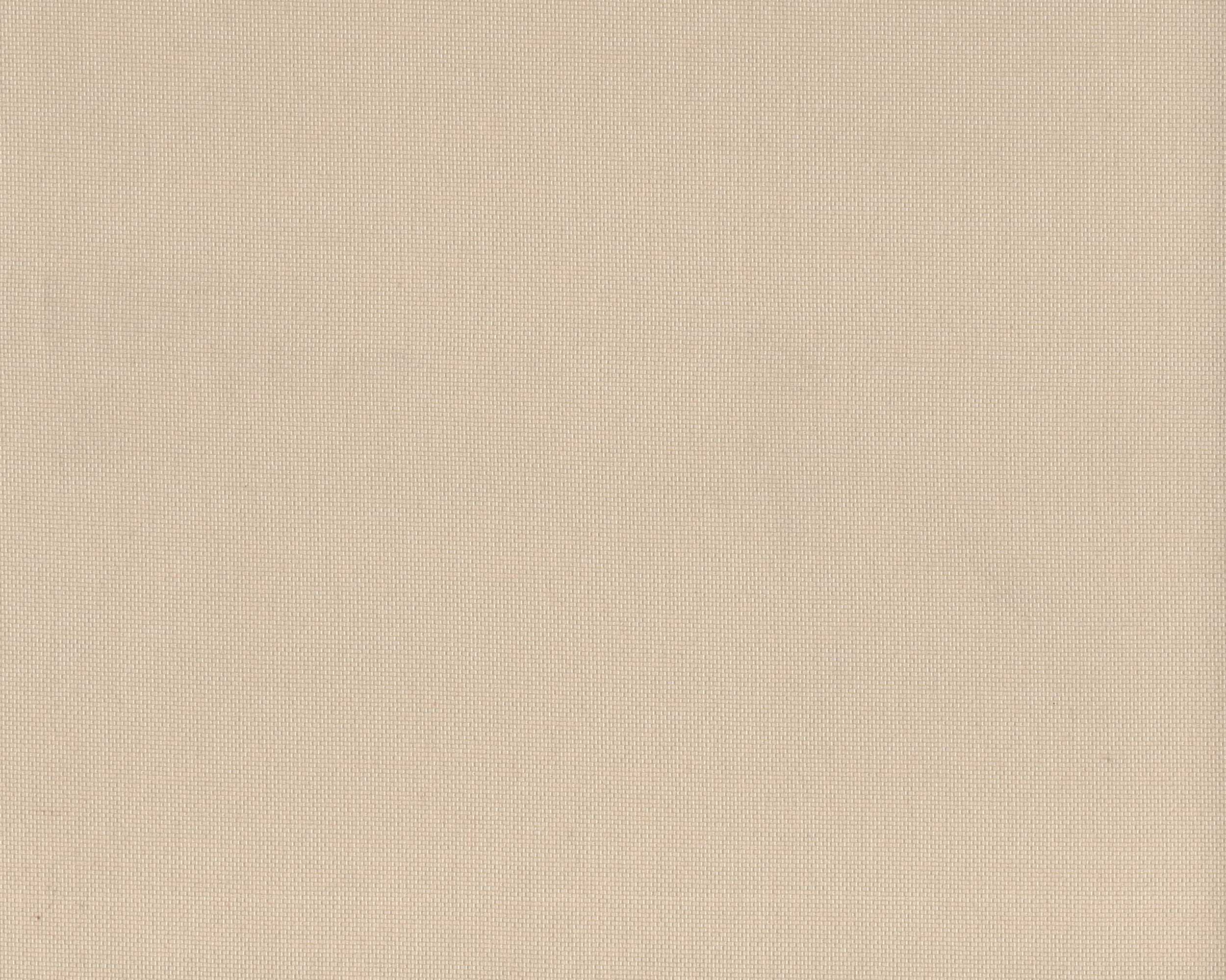005 | Summer Plain