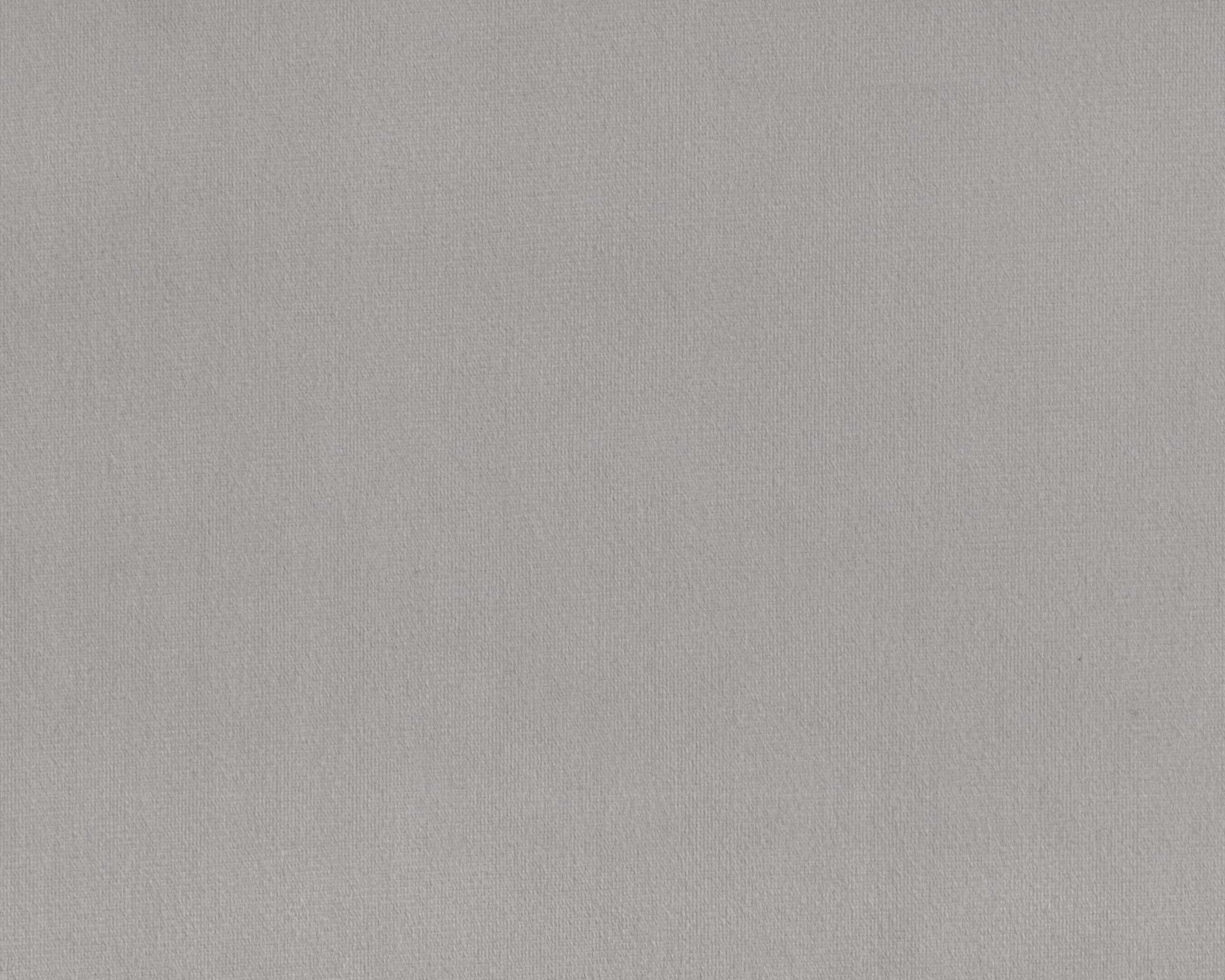 006 | Tiger