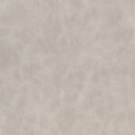 010 | Amazon FR