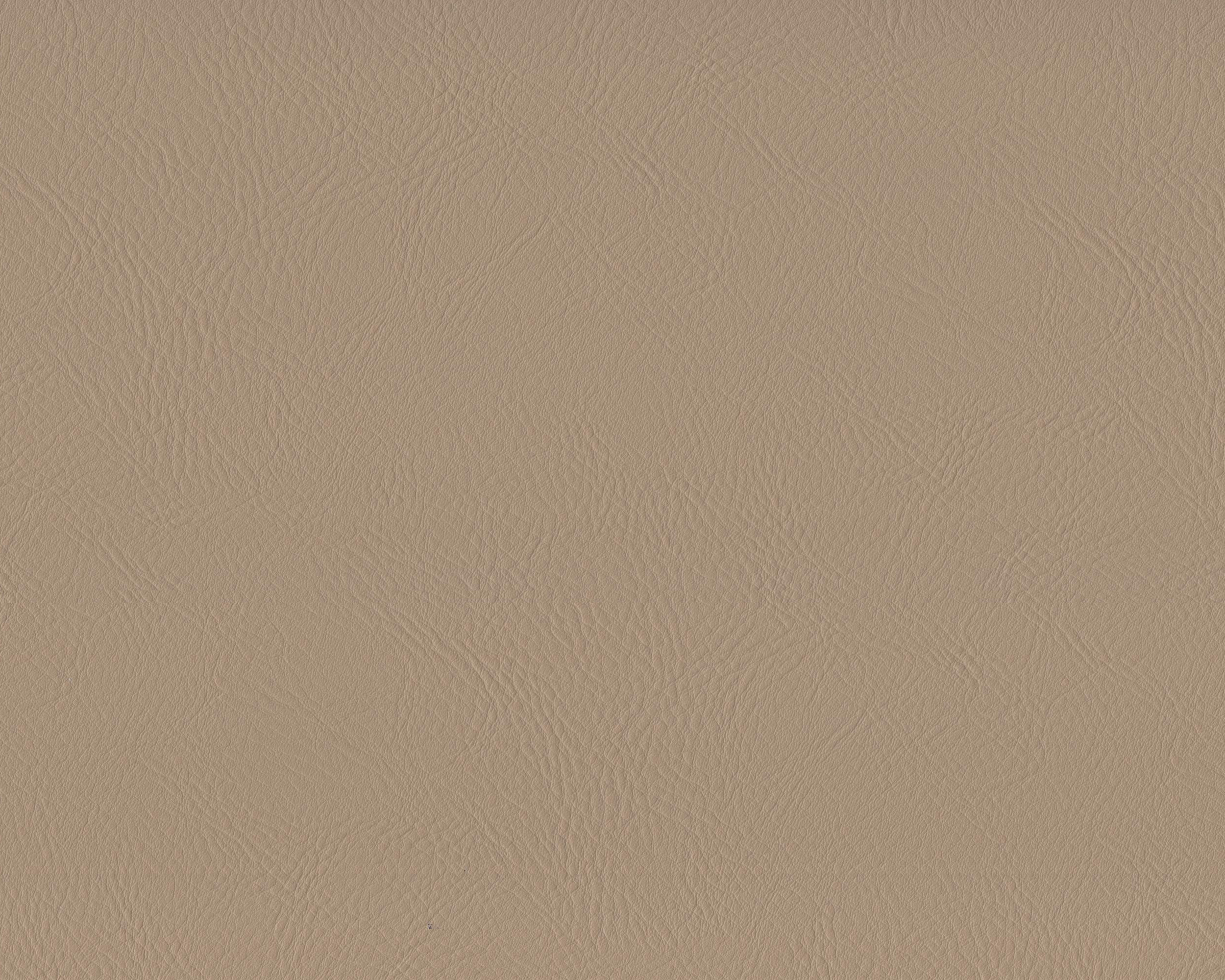 020 | Hector FR