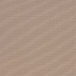 022 | Summer Plain