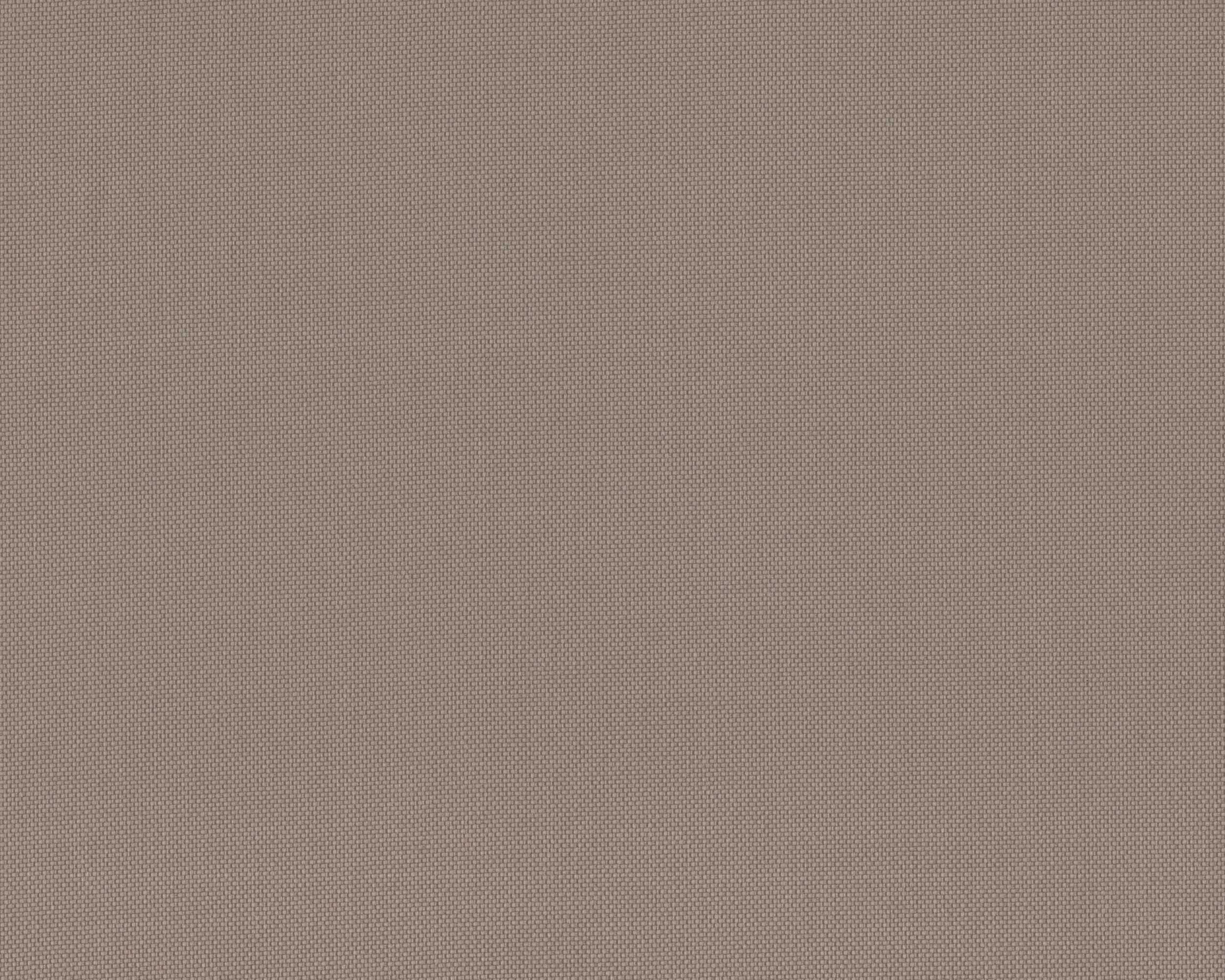 025 | Summer Plain