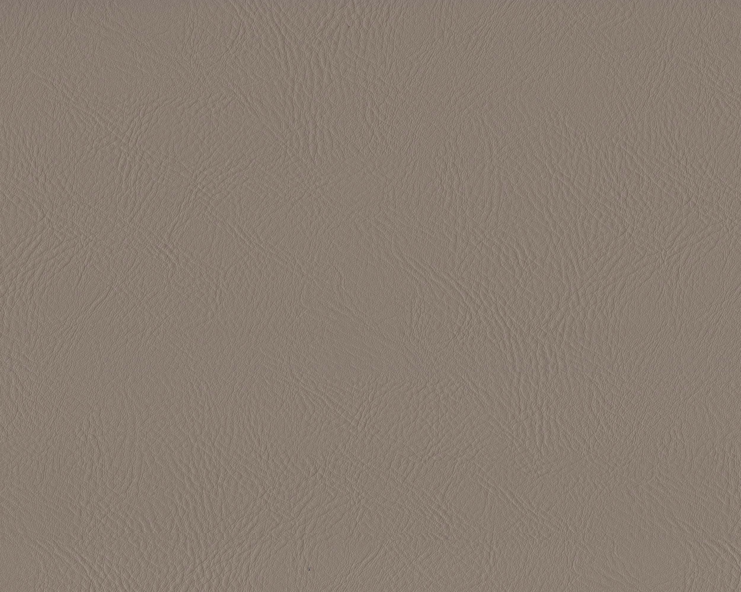 040 | Hector FR
