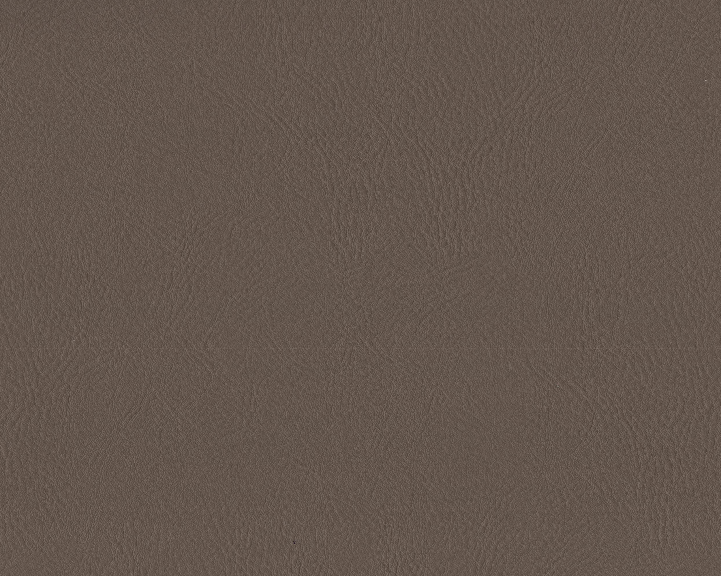 050 | Hector FR