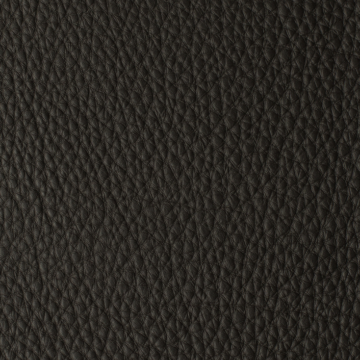 Dark Brown | Alabama