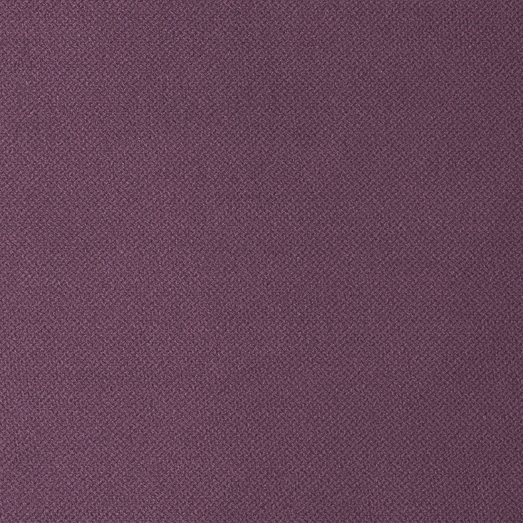 Purple | Fox