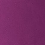 Violet | Fox