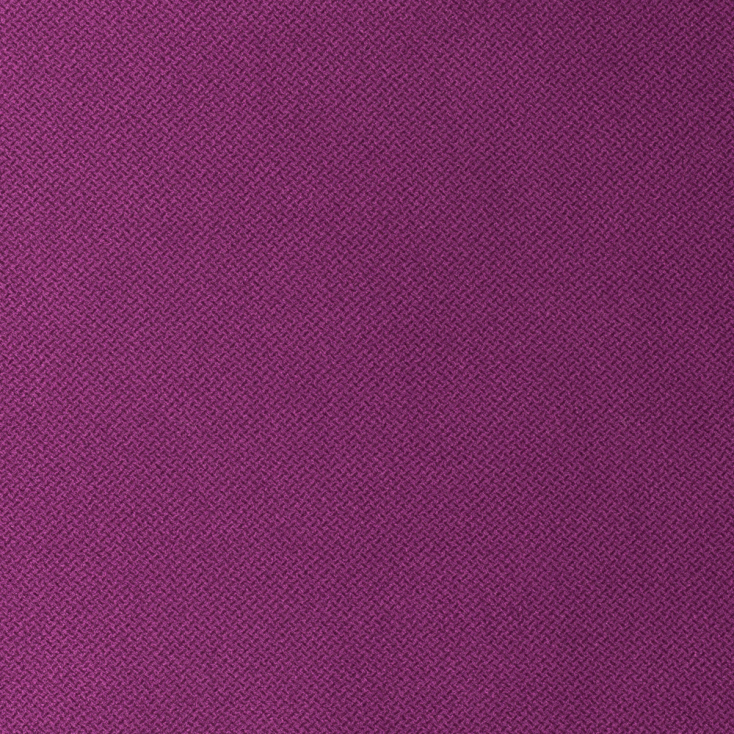 Violet | Fox
