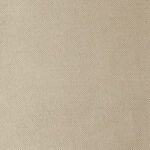 Ivory | Fox