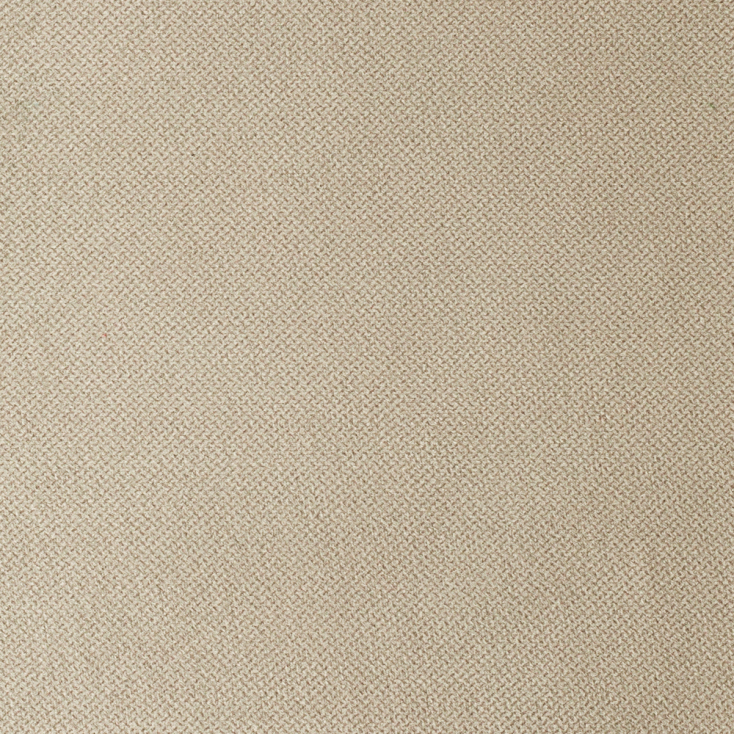 Ivory | Fox