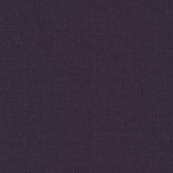 Purple | Loft