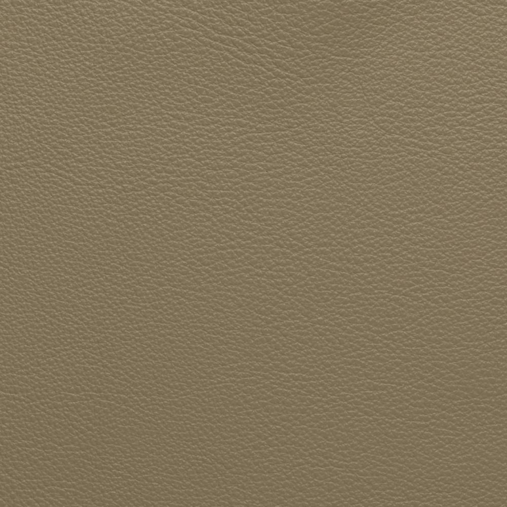 Khaki | Vermont