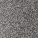 Medium Grey | Pegasus