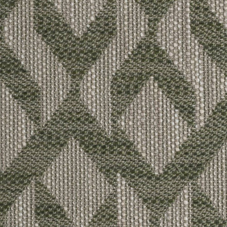 Moss | Jazz Hydro