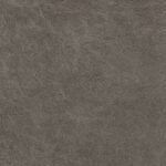 Light Grey | Dallas