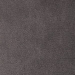 Dark Grey | Pegasus