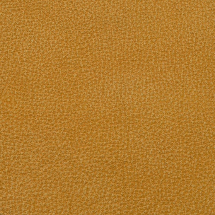 Mostaza | Kansas