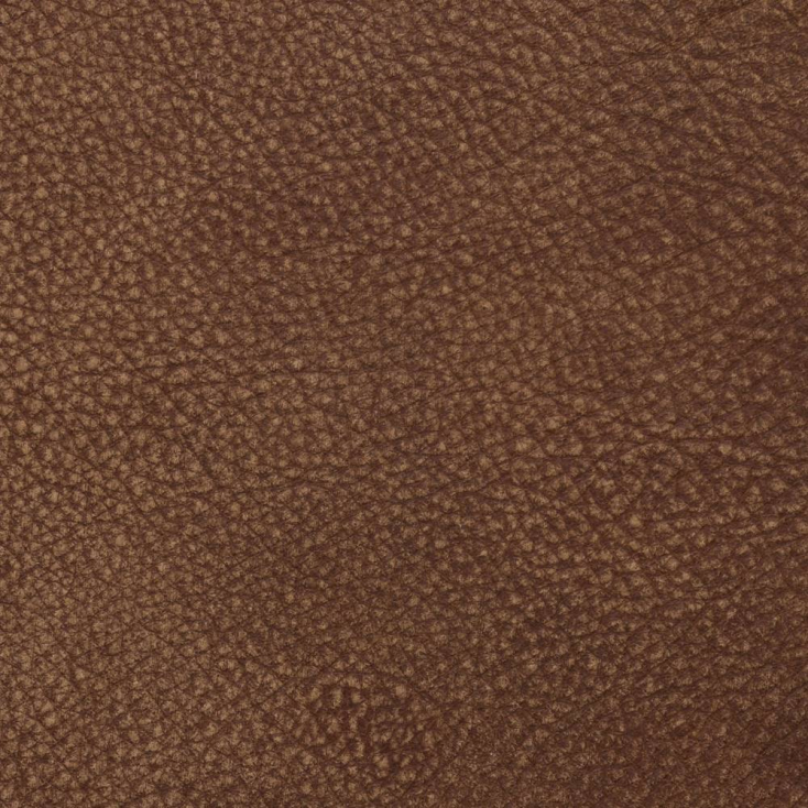 Walnut | Kansas