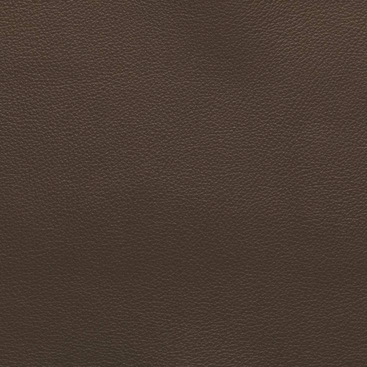 Chocolate | Vermont