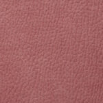 Coral | Mozart