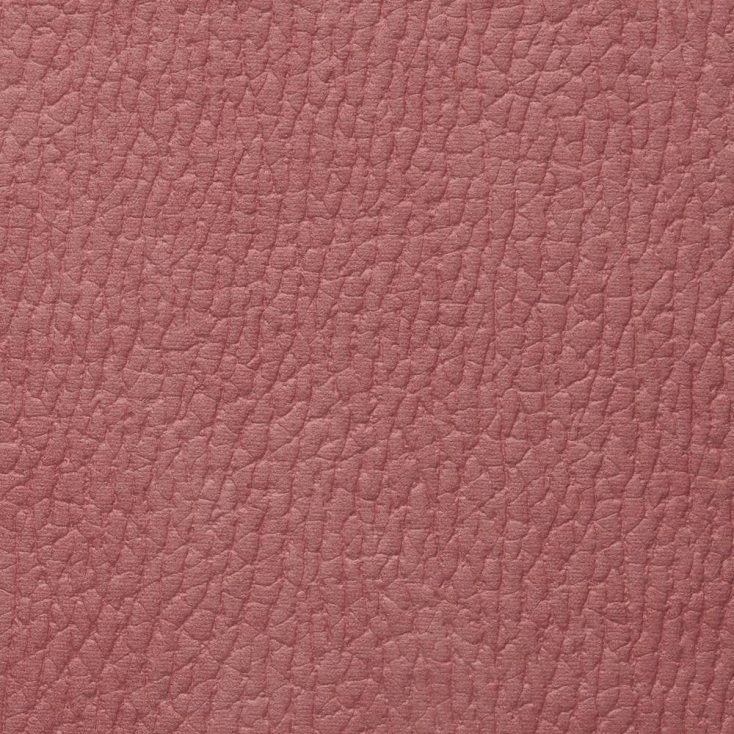 Coral | Mozart