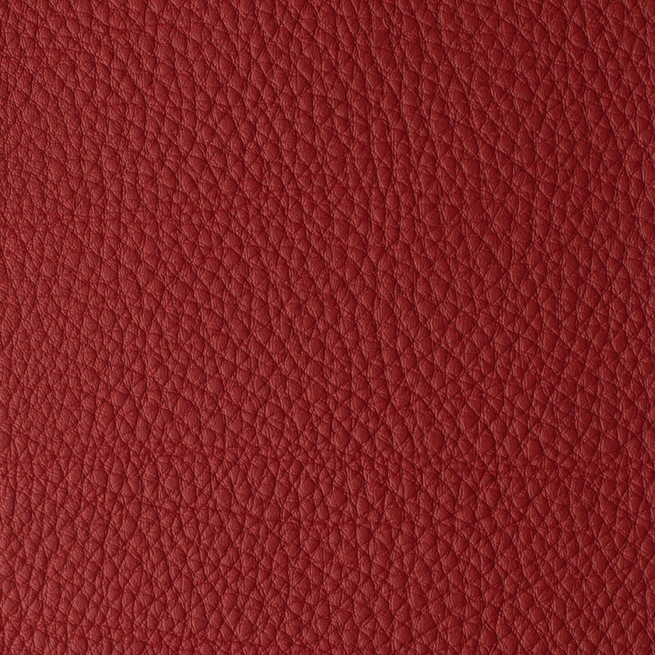 Scarlet | Alabama