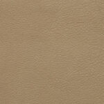 Beige | Kansas