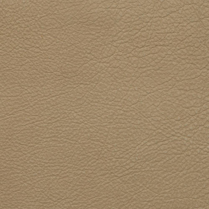 Beige | Kansas